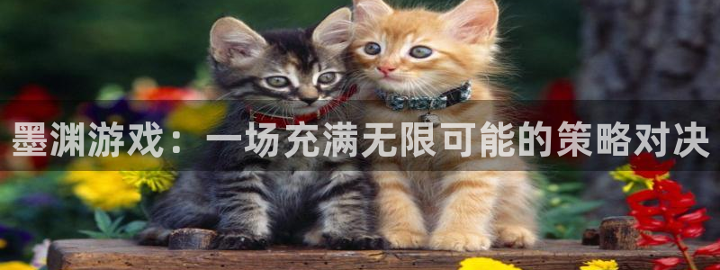 辉达娱乐4开户：墨渊游戏：一场充满无限可能的策略对决