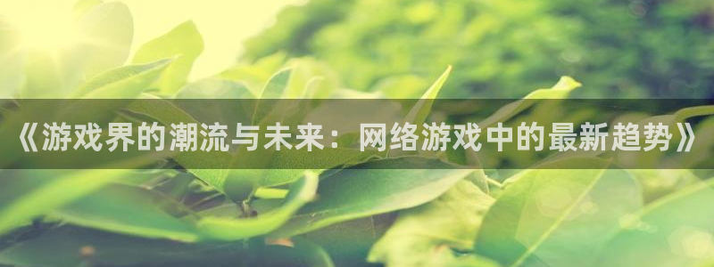 辉达娱乐是什么