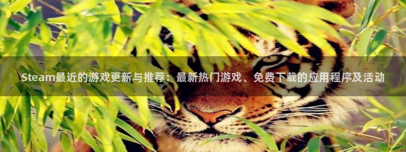 辉达娱乐注册服务条款：Steam最近的游戏更新与推荐：最新热