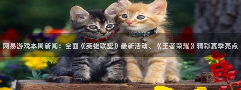 辉达娱乐开户测速：网易游戏本周新闻：全面《英雄联盟》最新活动