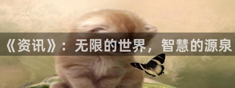 辉达娱乐app下载：《资讯》：无限的世界，智慧的源泉