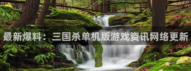 辉达娱乐下载：最新爆料：三国杀单机版游戏资讯网络更新