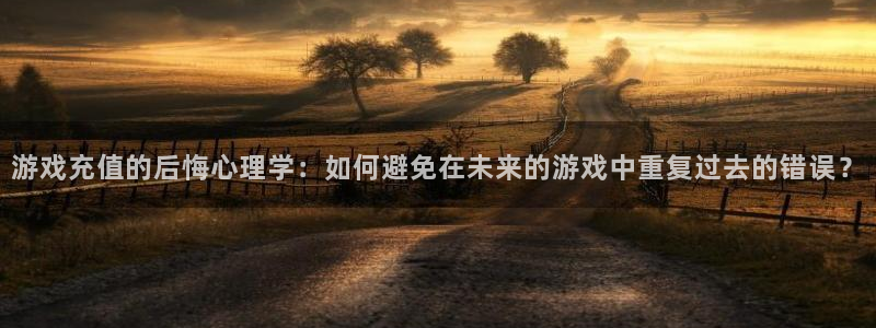 辉达娱乐4主管：游戏充值的后悔心理学：如何避免在未来的游戏中