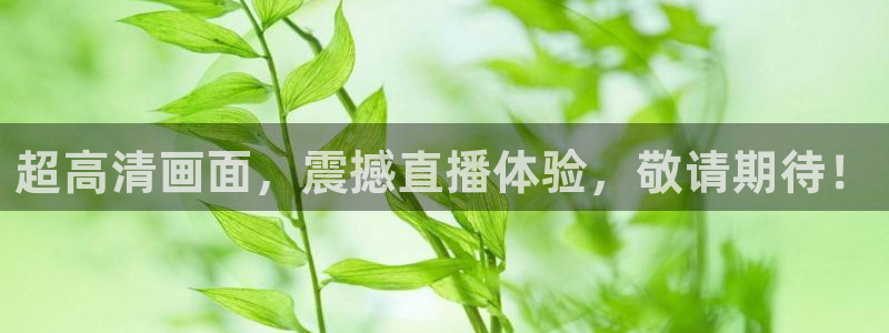 新球体育足球比分：超高清画面，震撼直播体验，敬请期待！