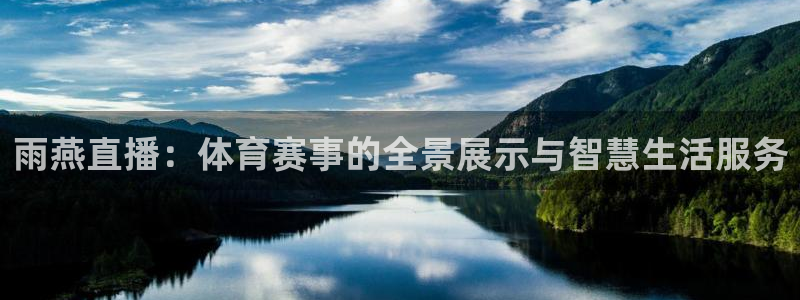 新球体育比分：雨燕直播：体育赛事的全景展示与智慧生活服务