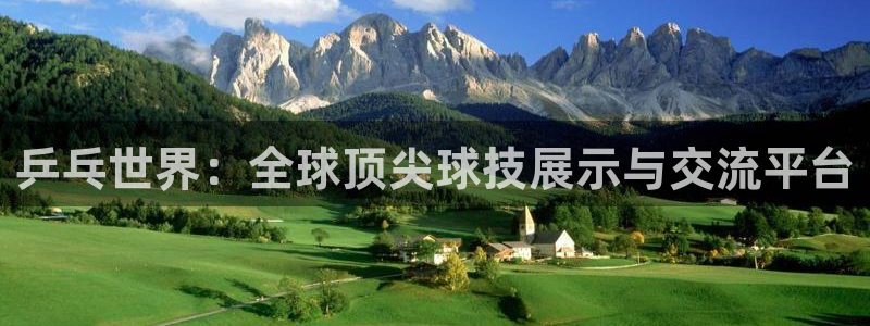 新球体育足球官网：乒乓世界：全球顶尖球技展示与交流平台