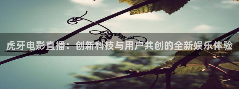新球体育篮球比分：虎牙电影直播：创新科技与用户共创的全新娱乐体验