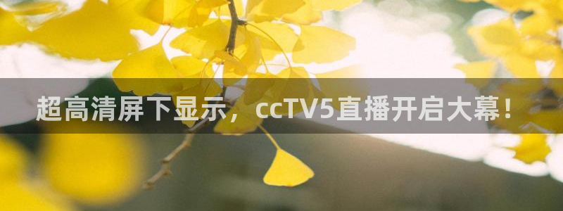 新球体育赛事：超高清屏下显示，ccTV5直播开启大幕！