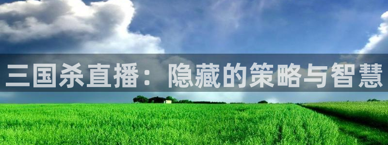 新球体育比分：三国杀直播：隐藏的策略与智慧