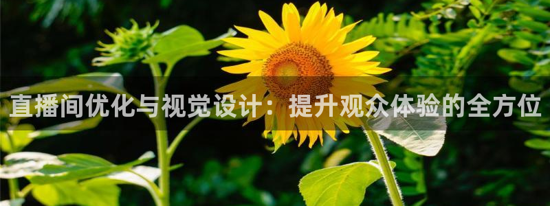 新球体育足球比分：直播间优化与视觉设计：提升观众体验的全方位